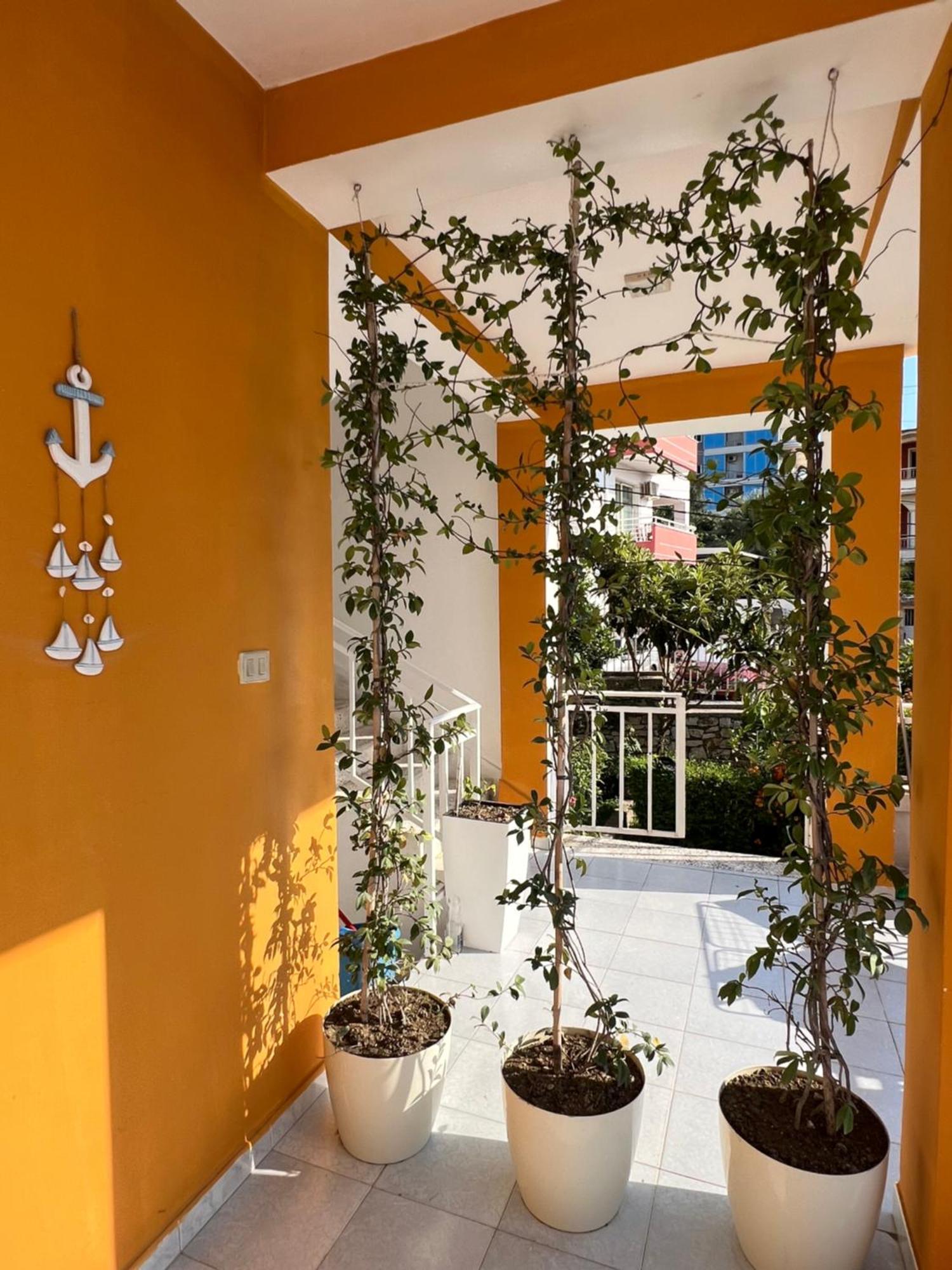 Mimi'S Apartments Vlorë Buitenkant foto